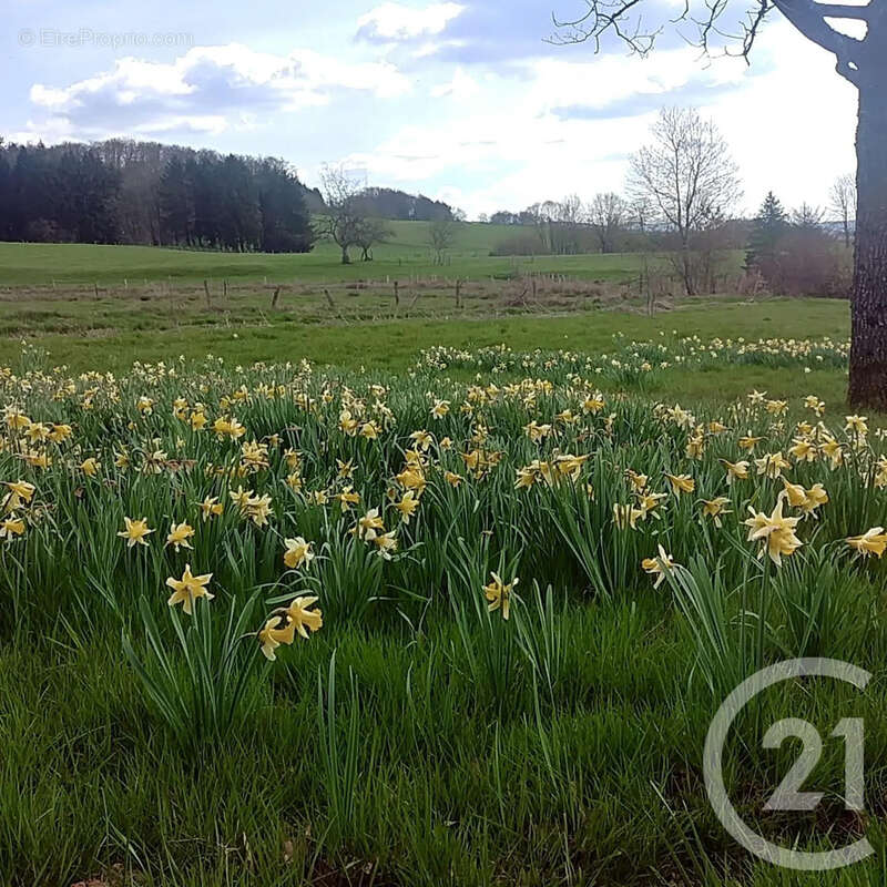 Maison à CHARMOIS-DEVANT-BRUYERES