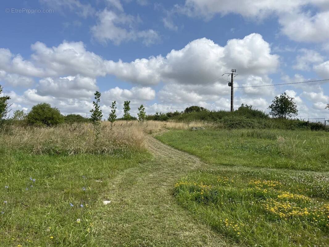 Maison à AZAY-LE-FERRON