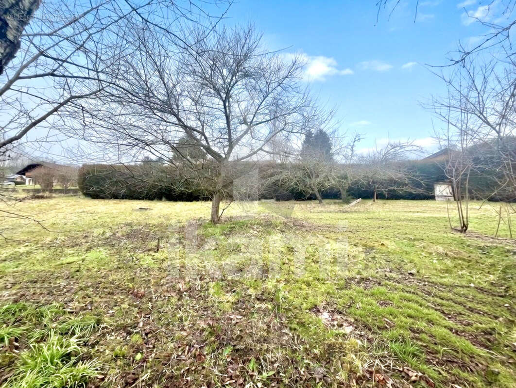 Terrain à GROISY