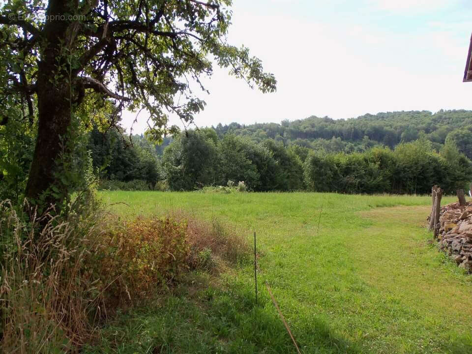 Maison à CHAMBOULIVE
