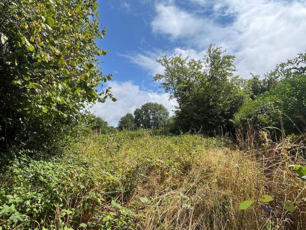 Terrain à MONTBOUCHER