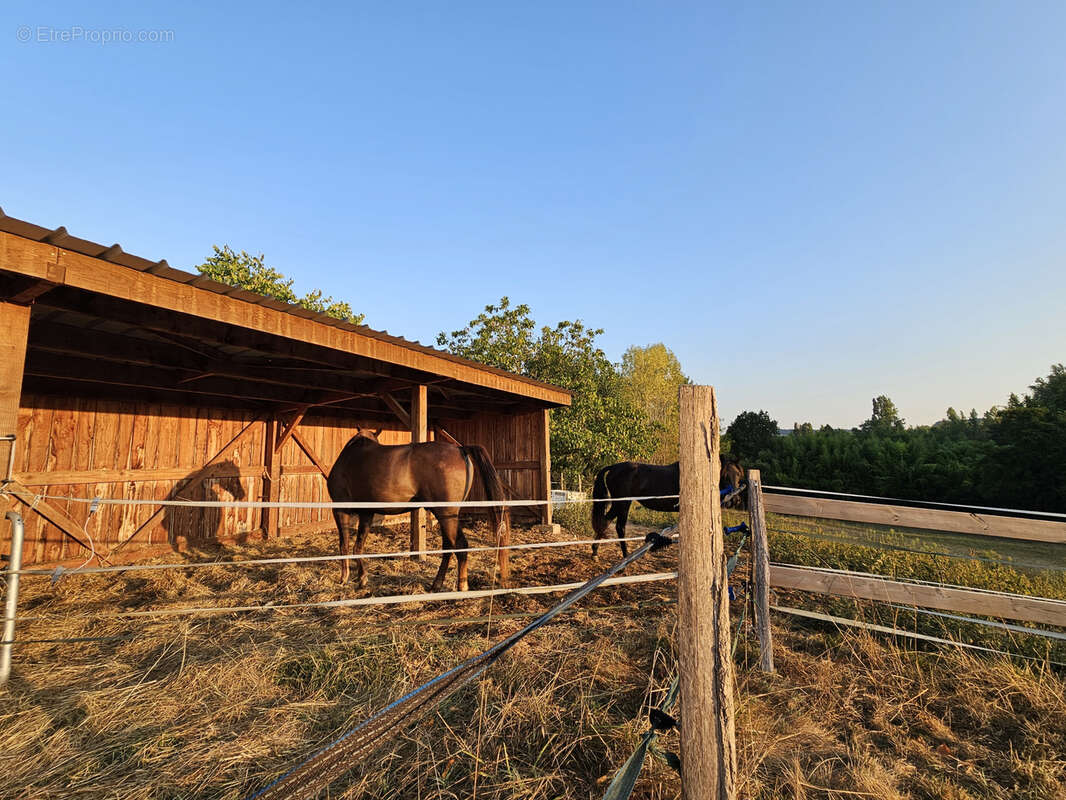 Propriété équestre de 5 hectares, entièrement clos, maison de plain pied 210m2 annexe 130m2 - photo 2