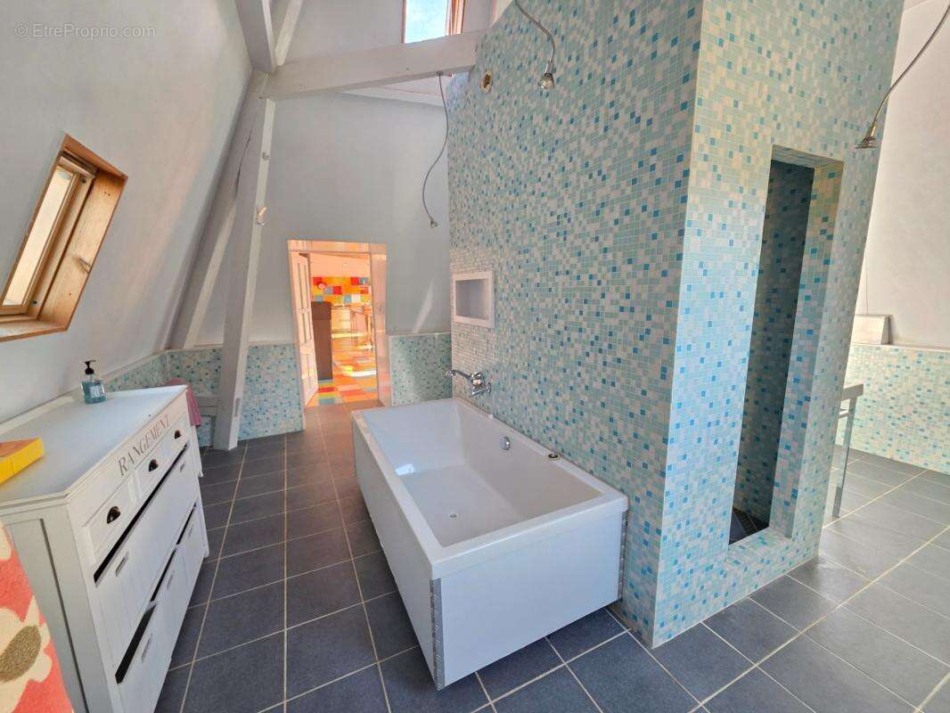 Gros potentiel pour cette tres belle propriete de 19ha avec chateau et batiment de + de 1200 m² - photo 27