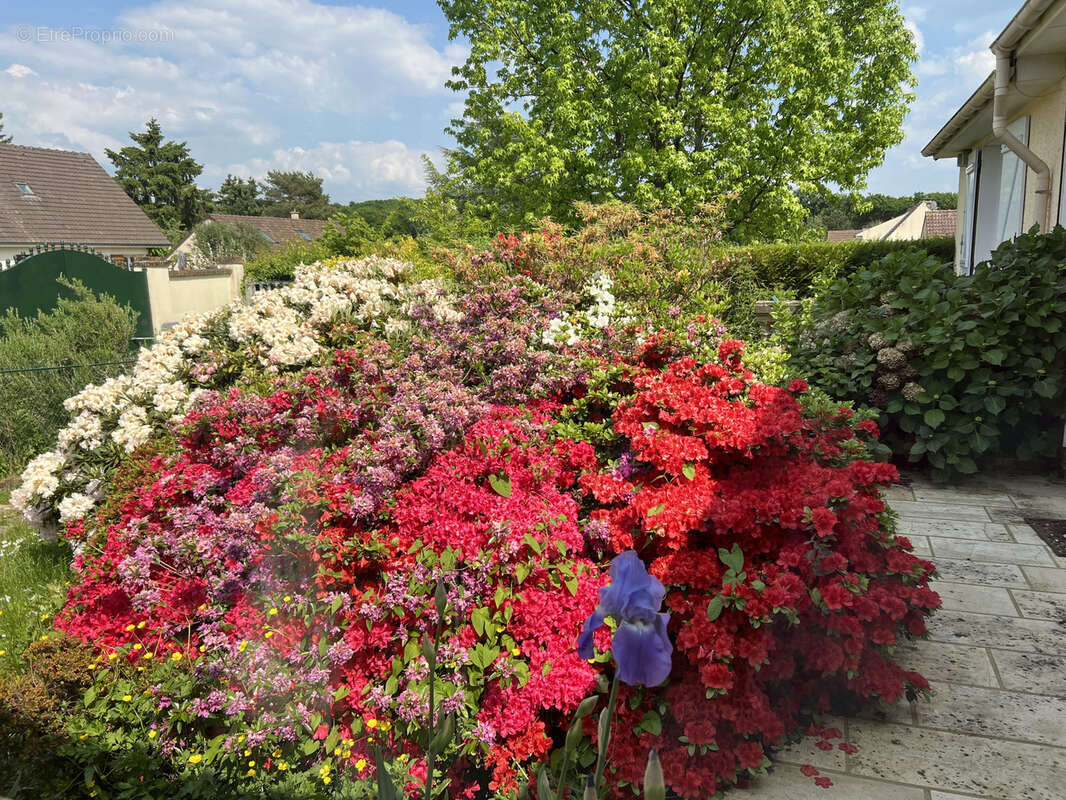 Maison à PONTHEVRARD