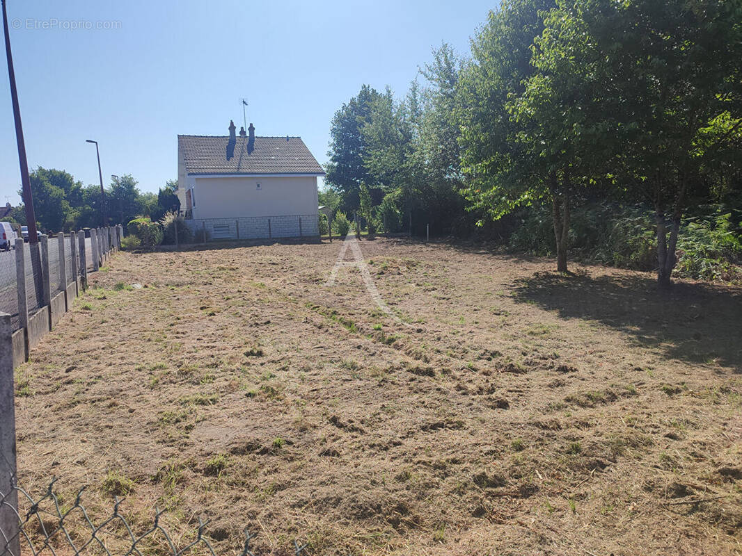 Terrain à NOUAN-LE-FUZELIER