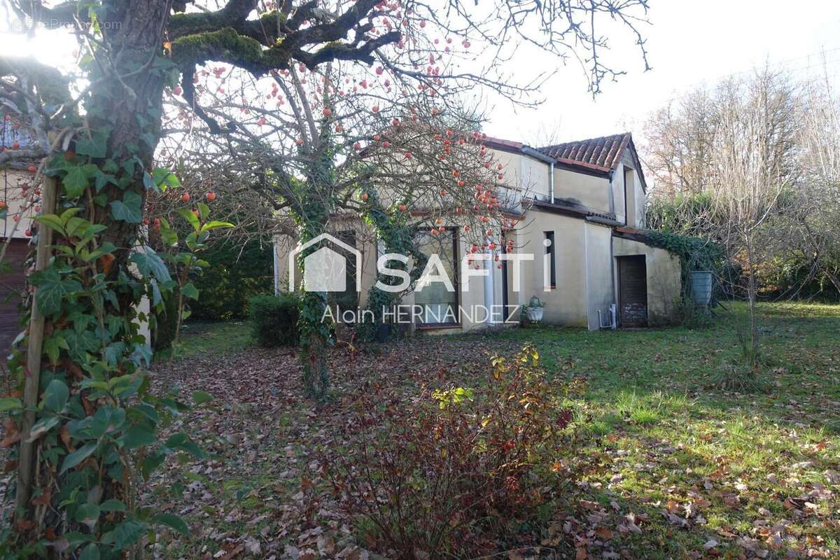 Commerce 145 m² à Montesquieu-Volvestre  - photo 3