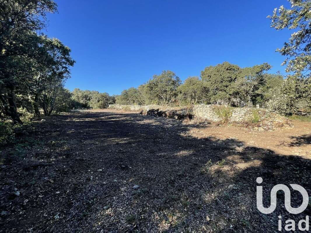 Photo 9 - Terrain à SAINT-RESTITUT