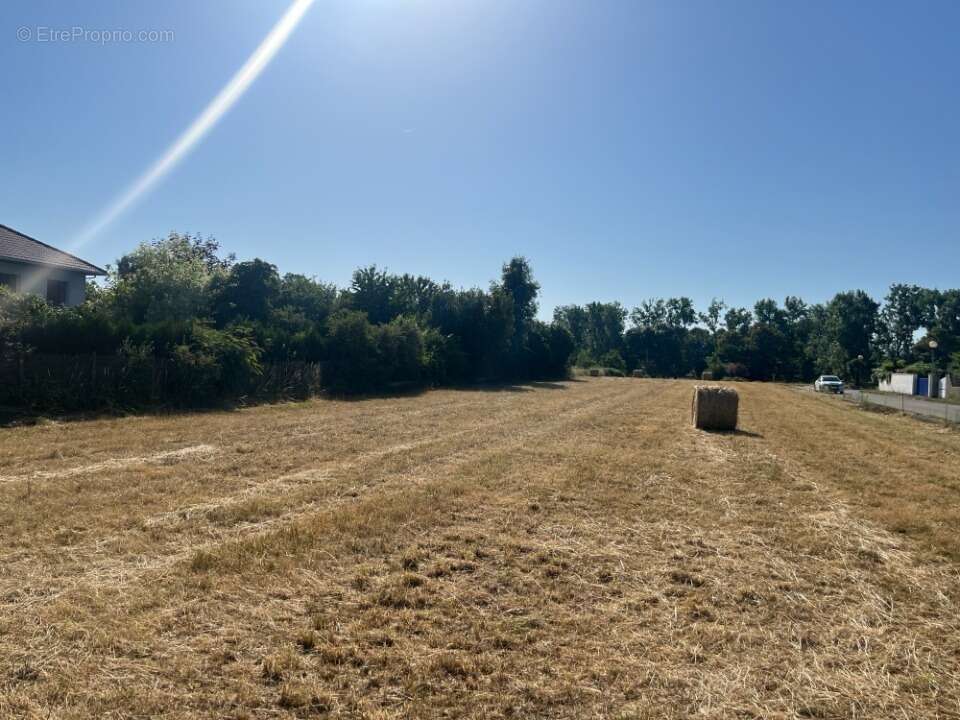 Terrain 600 m² à Juillan  - photo 2