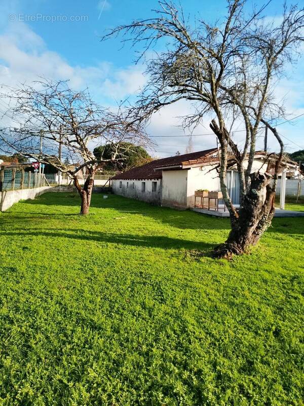 Photo 1 - Maison à SAINT-CIERS-SUR-GIRONDE