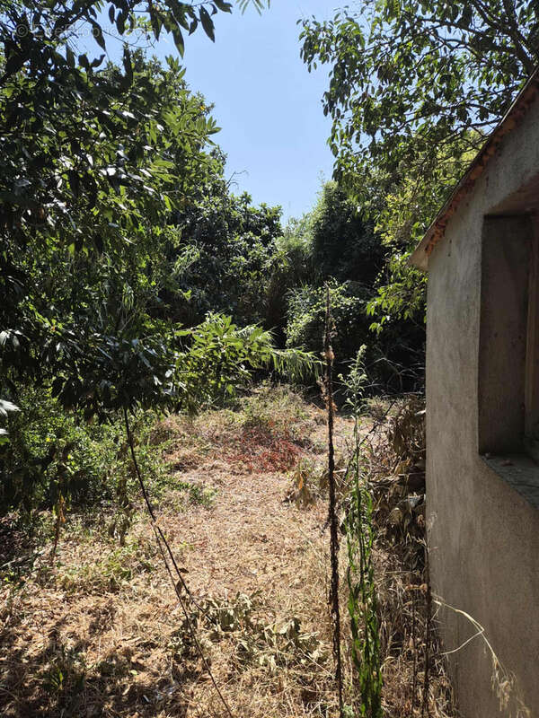 Maison à COURSAN