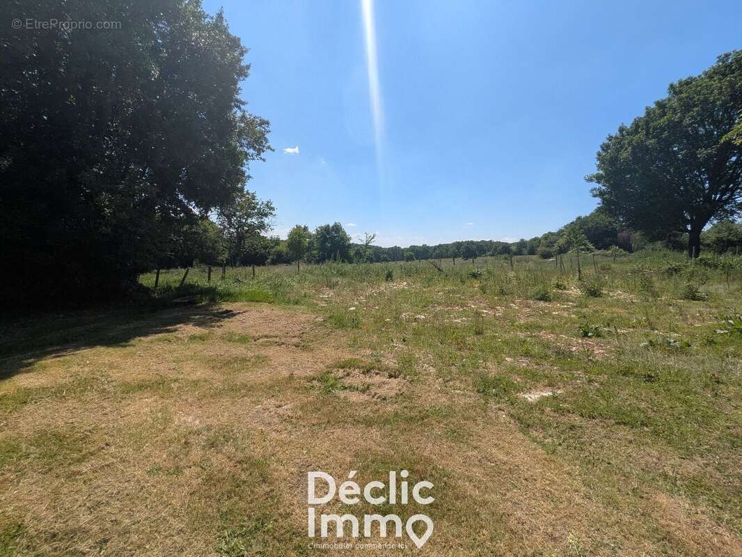 Ensemble de Maisons en Pierre  9 km de Champagne-Mouton  Calme, Campagne et Gros Potentiel - photo 6