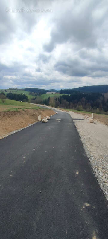 Terrain à SAINT-ROMAIN-LES-ATHEUX