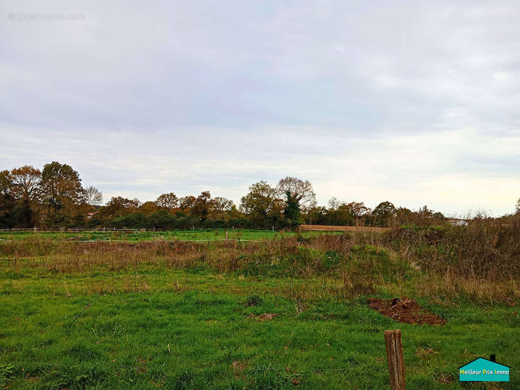 Maison à LA LIMOUZINIERE