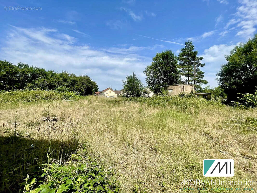 Commerce 343 m² à Rambouillet  - photo 2