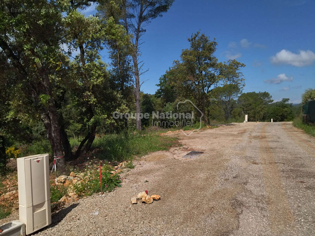 Terrain à LE THORONET