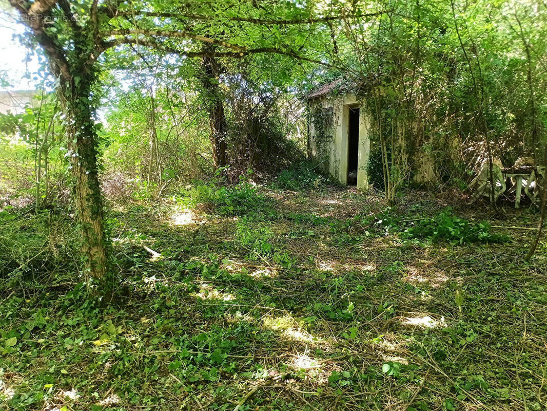 Terrain à BOURGANEUF