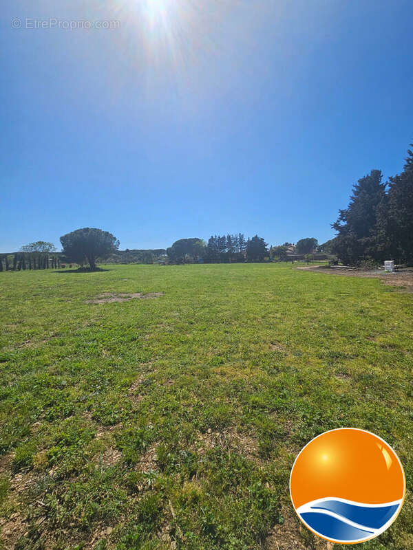 Maison à SALLELES-D&#039;AUDE