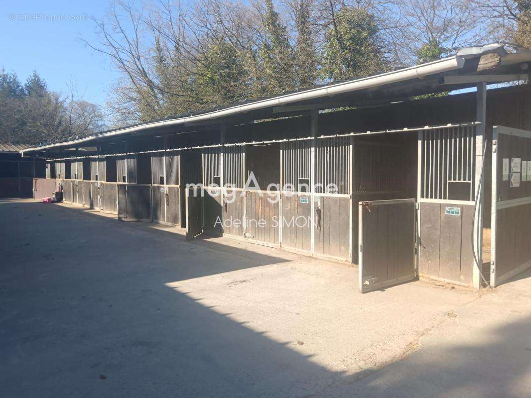 Domaine équestre avec gites et 24 ha - photo 7