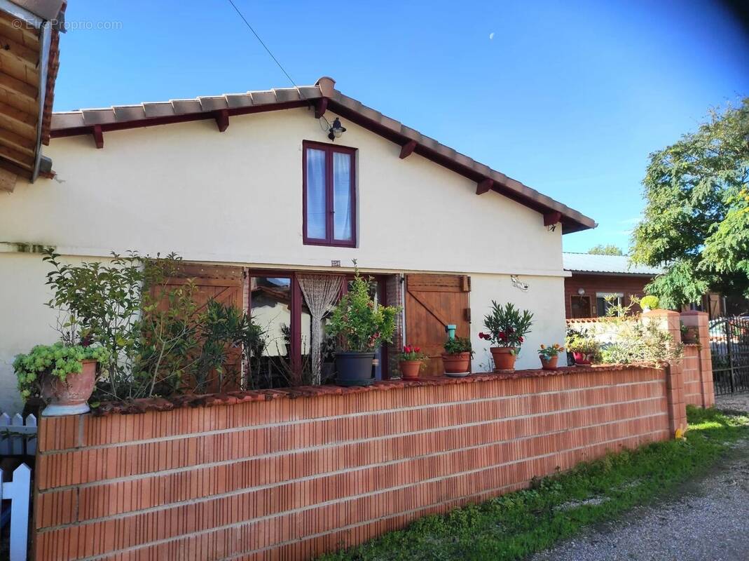 Maison à LISLE-SUR-TARN