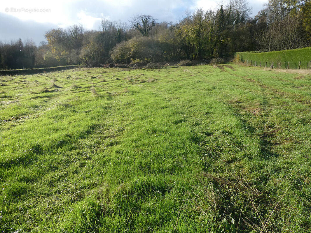 Terrain à CORMEILLES