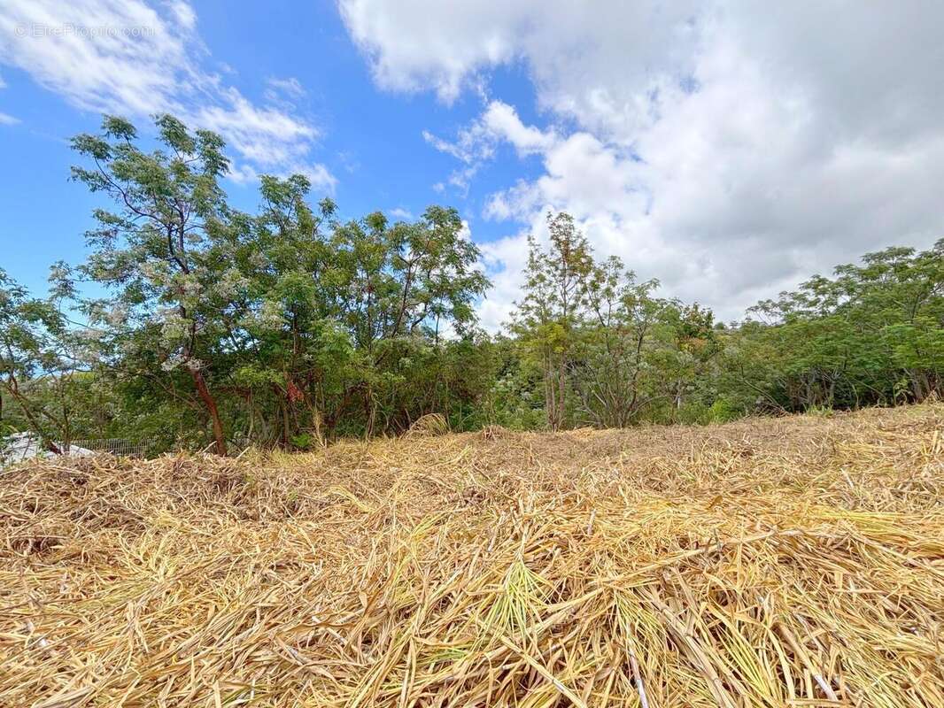 Terrain à SAINT-PAUL