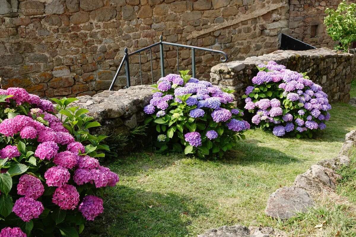 Appartement à PRIVAS