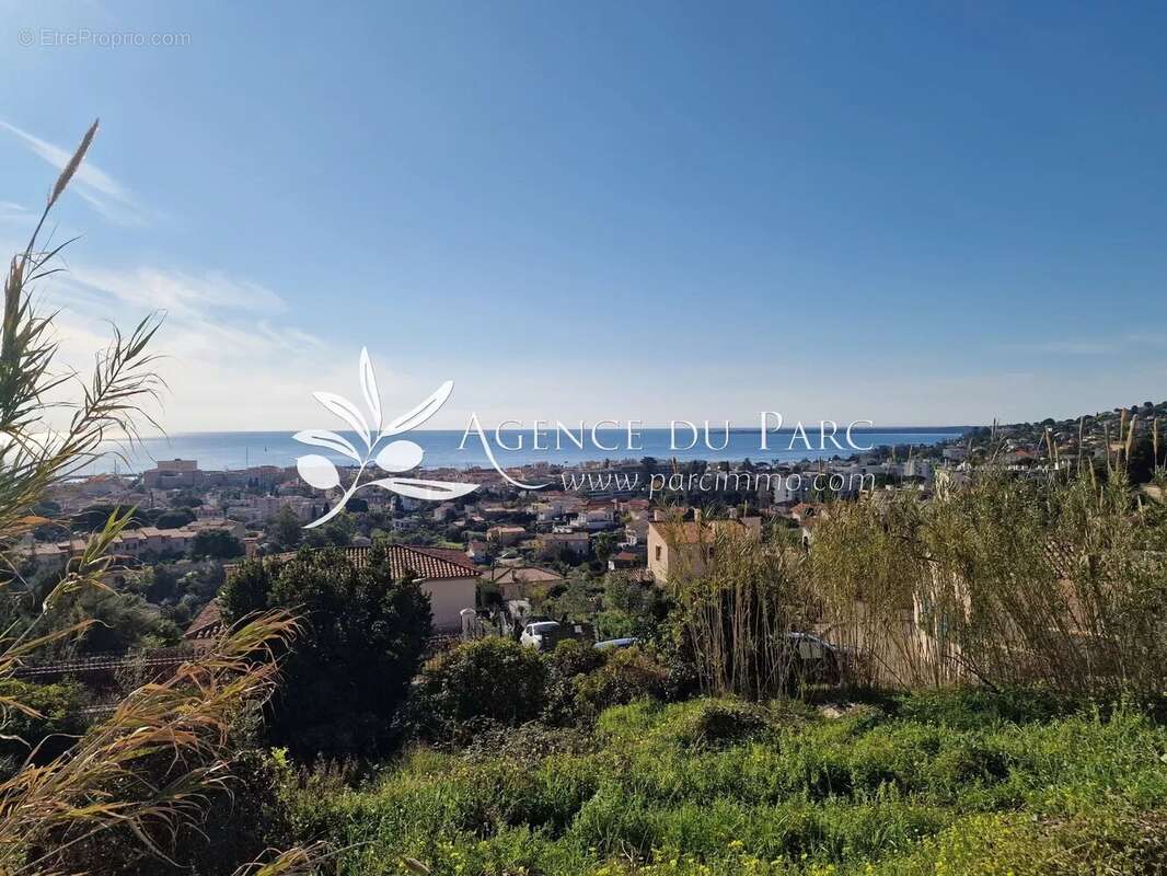 Terrain à VALLAURIS