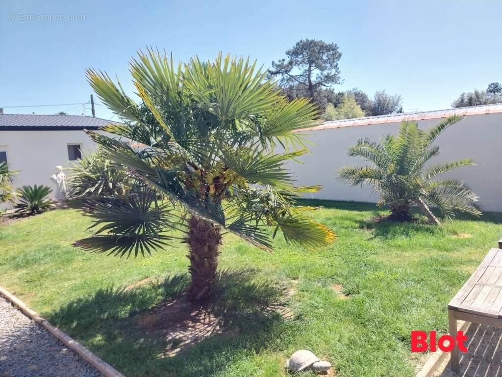 Maison à SAINT-BREVIN-LES-PINS