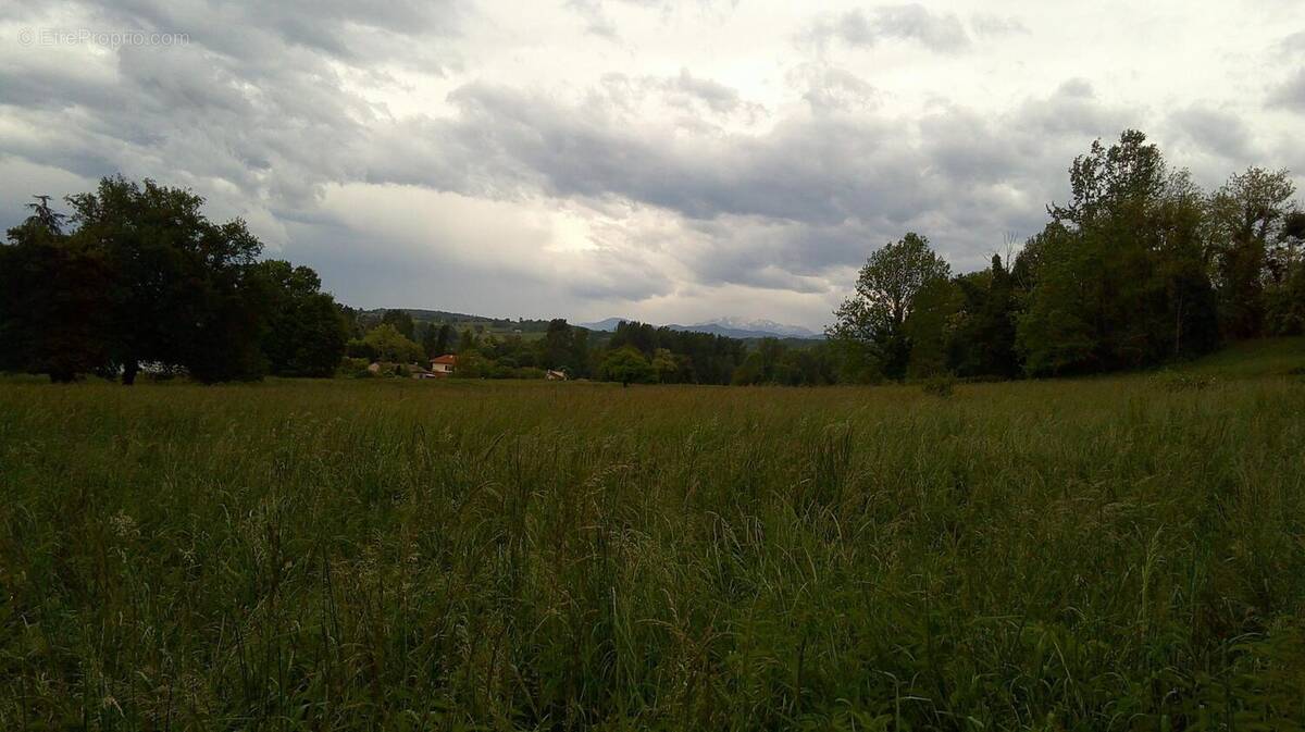 Photo 1 - Terrain à MAZERES-SUR-SALAT
