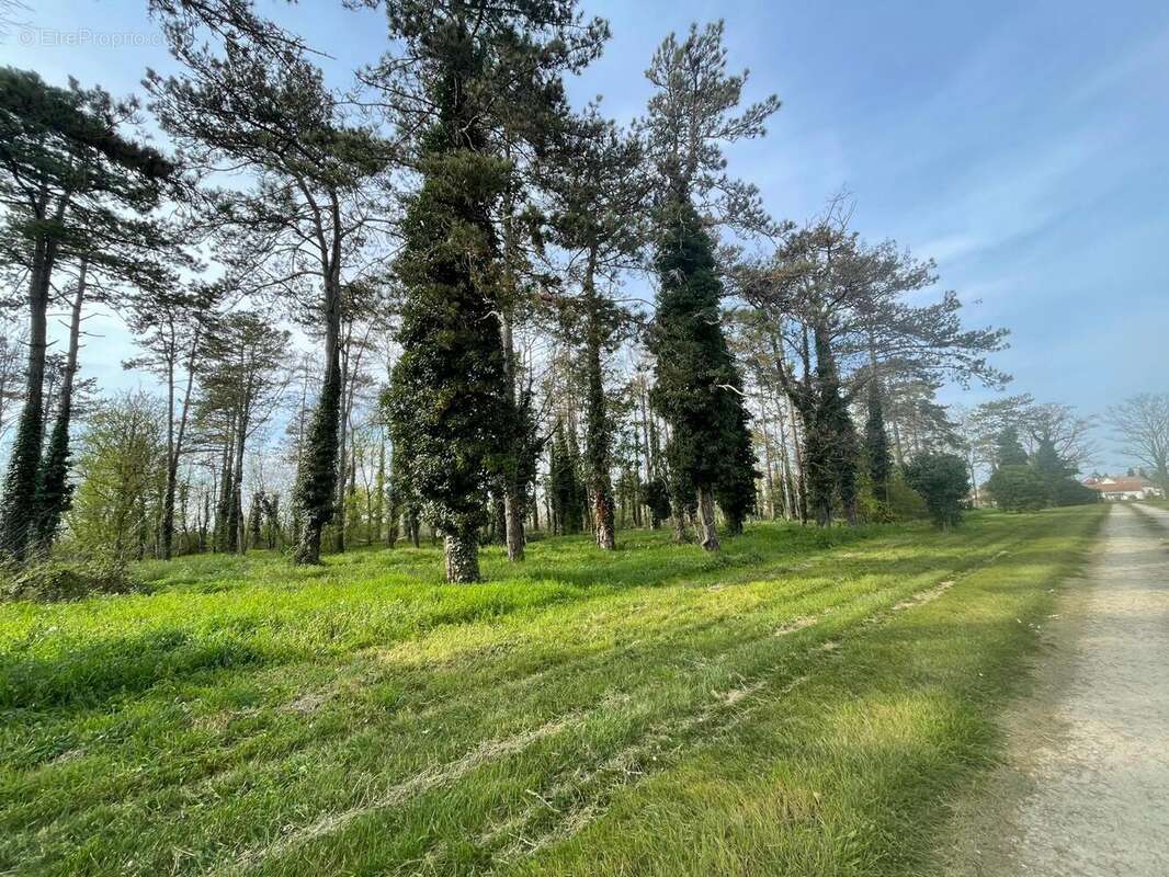 Maison à DUN-SUR-AURON