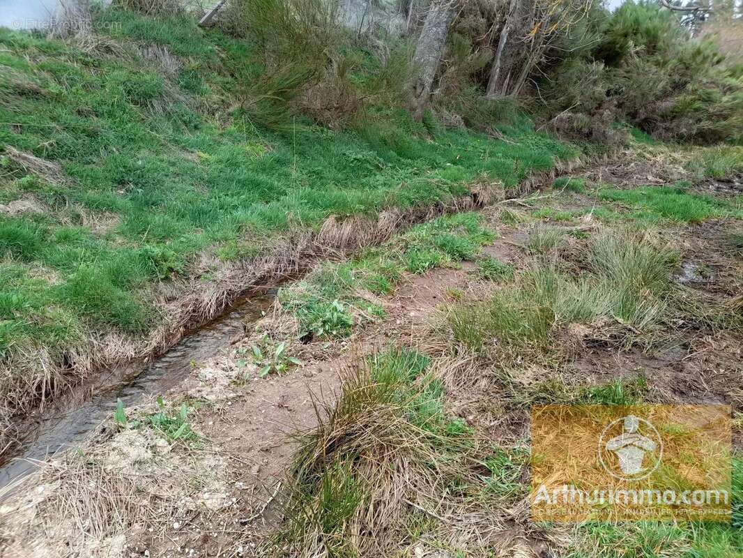 Terrain à LES LAUBIES
