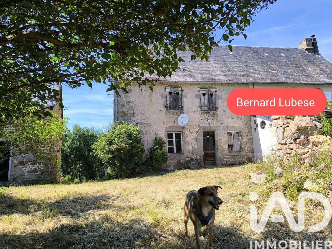 Maison 80 m² à Magnat-L'etrange  - photo 3