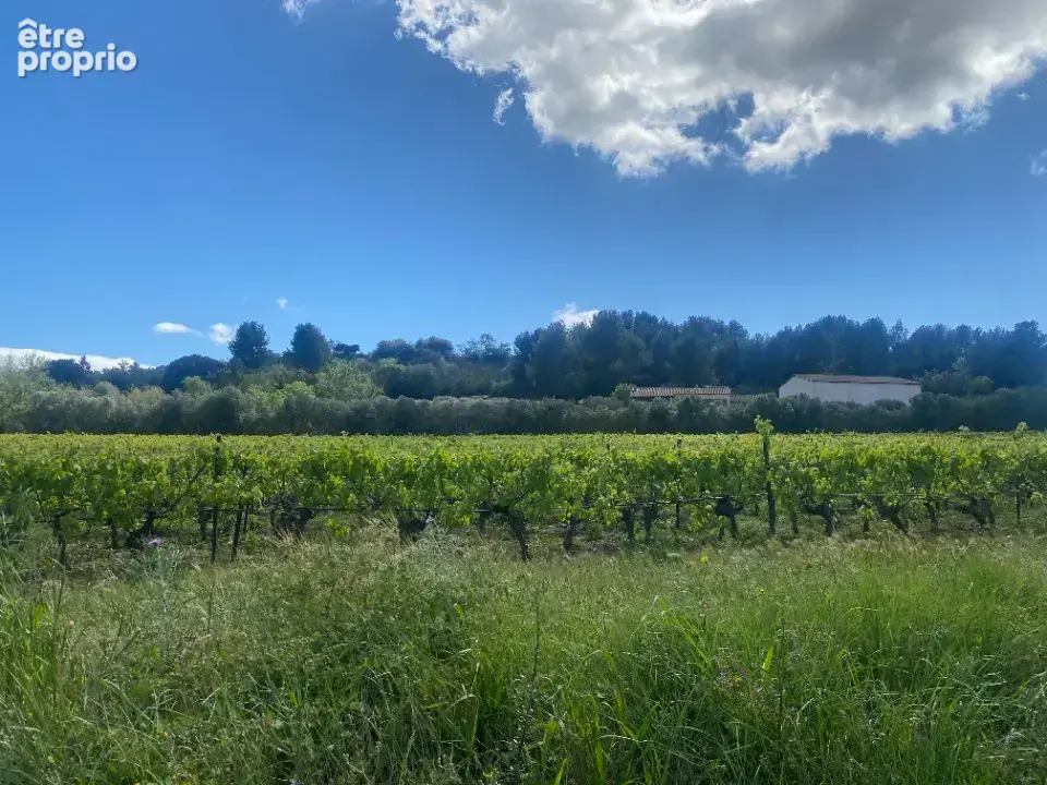 Terrain 435 m² à vendre à Ginestas (11120) - photo 2