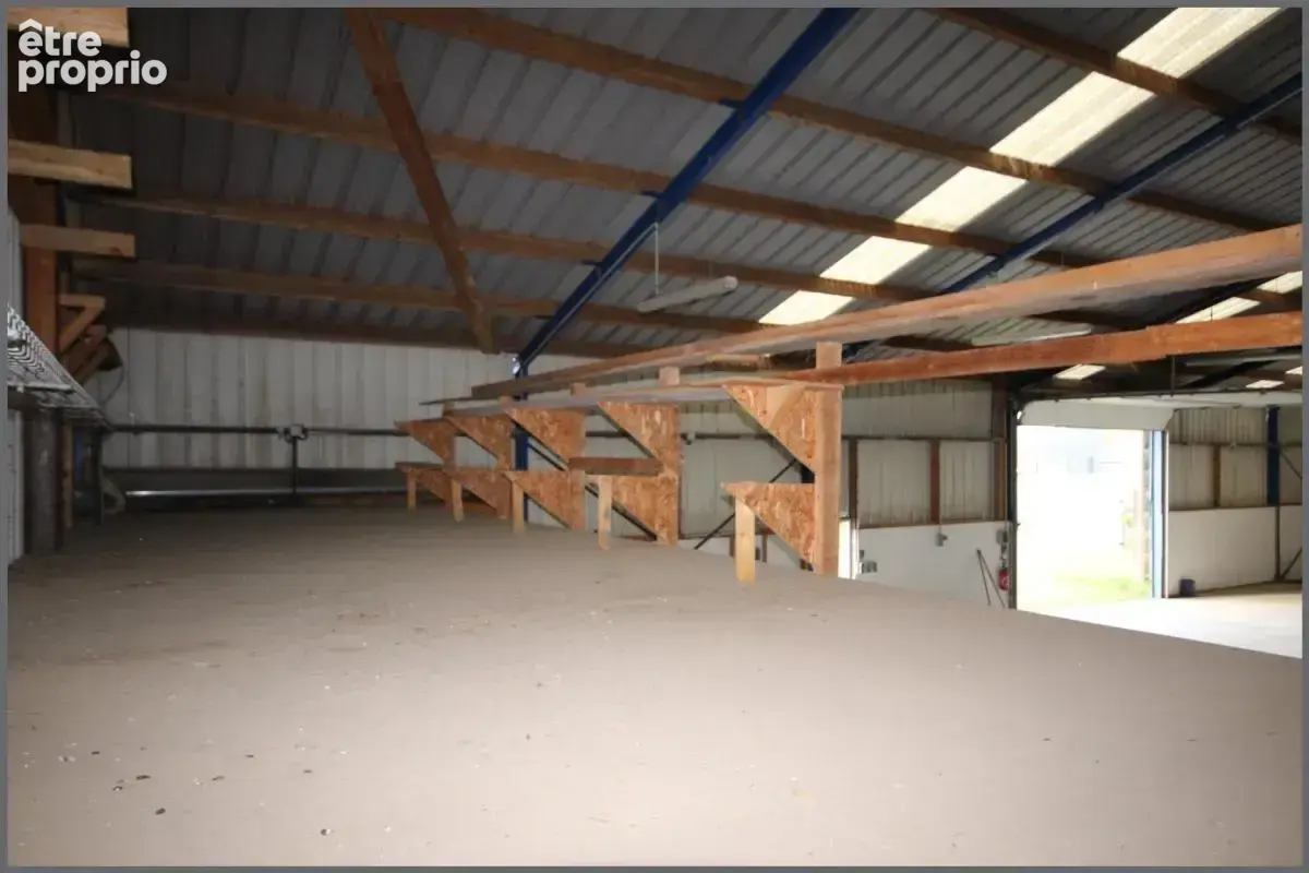 Local professionnnel - photo 6