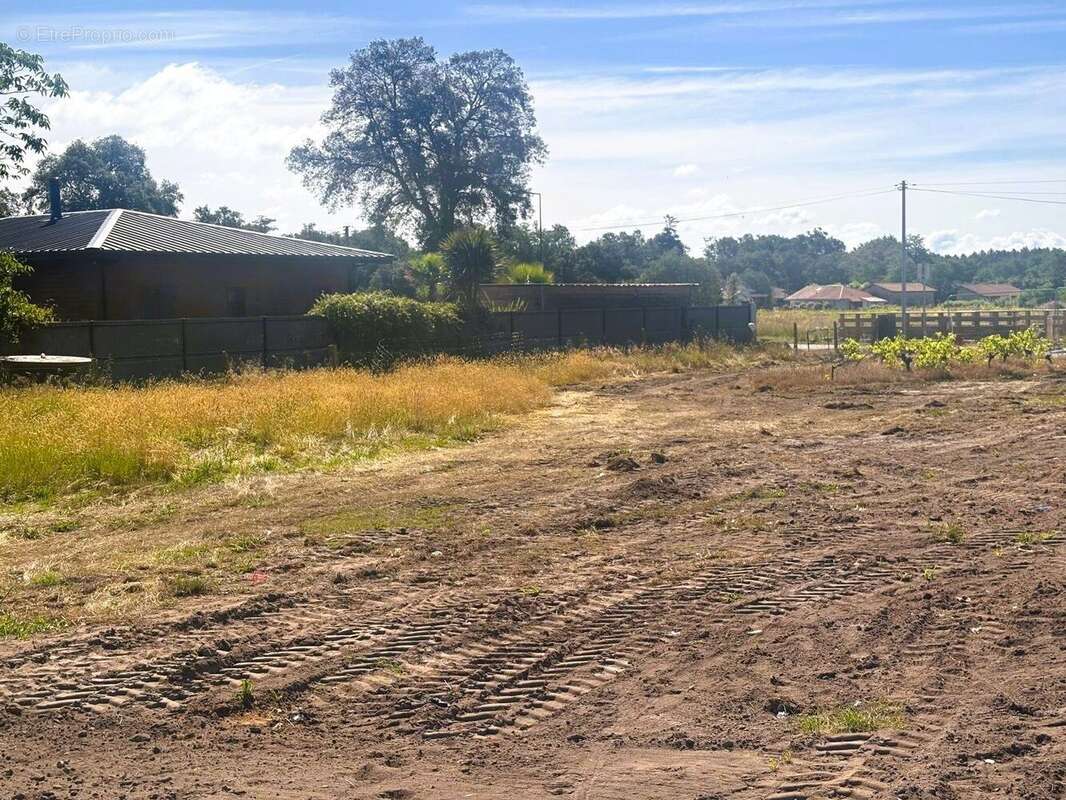 Terrain 411 m² à Seignosse  - photo 2