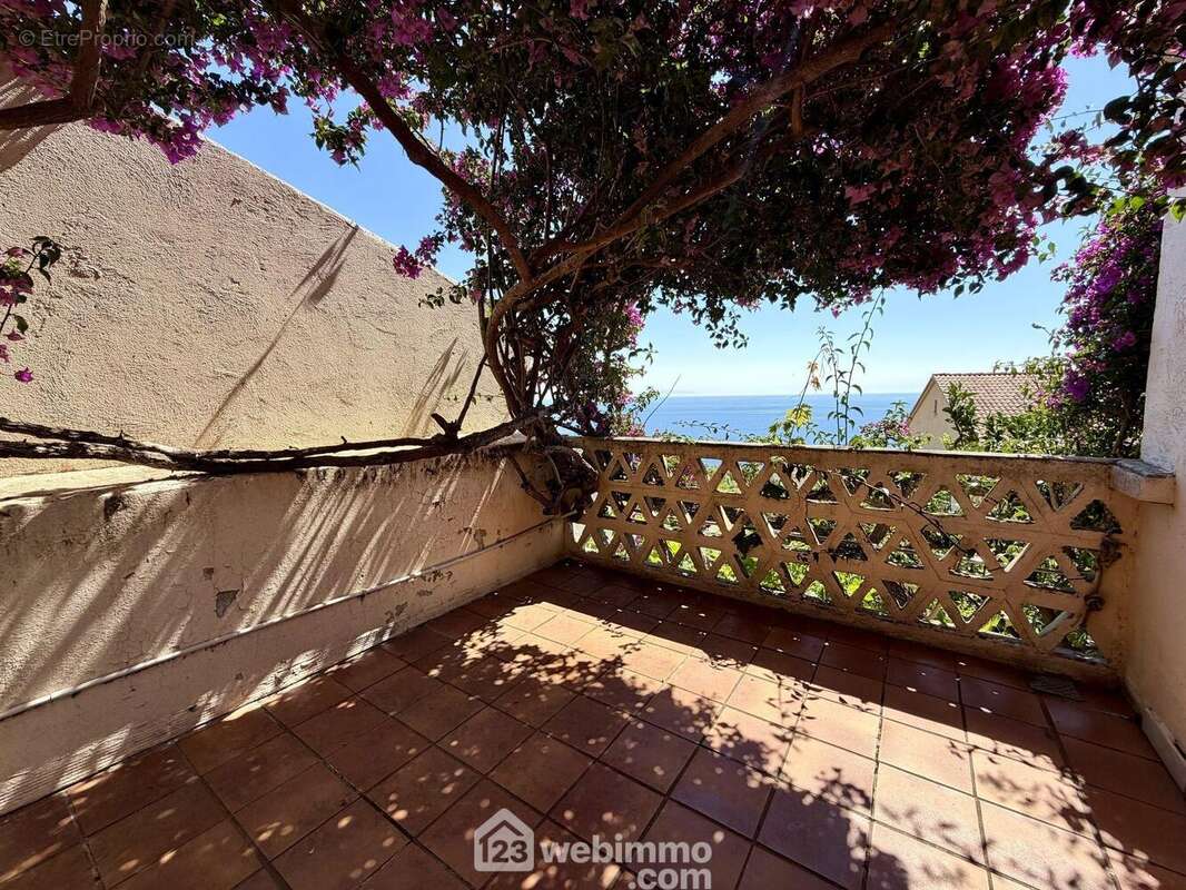 ...Avec sa terrasse privative - Maison à SAN-MARTINO-DI-LOTA