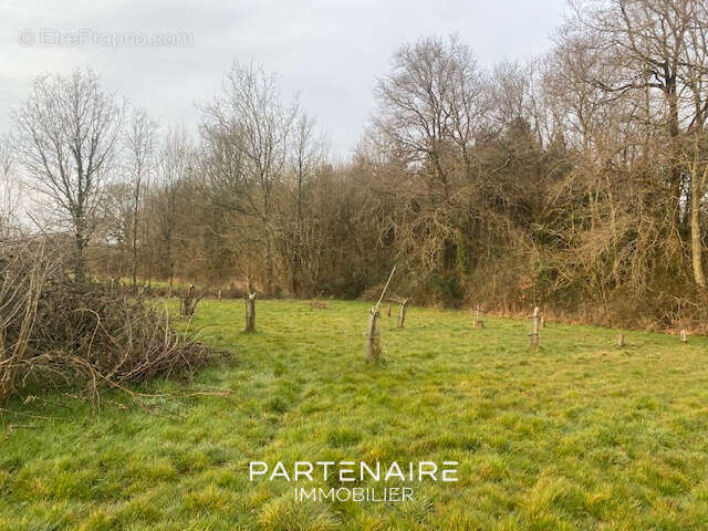 Terrain à TALMONT-SAINT-HILAIRE