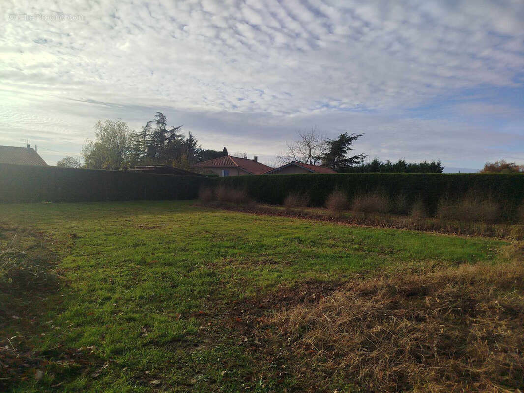 Terrain à SAINT-ETIENNE-DE-TULMONT