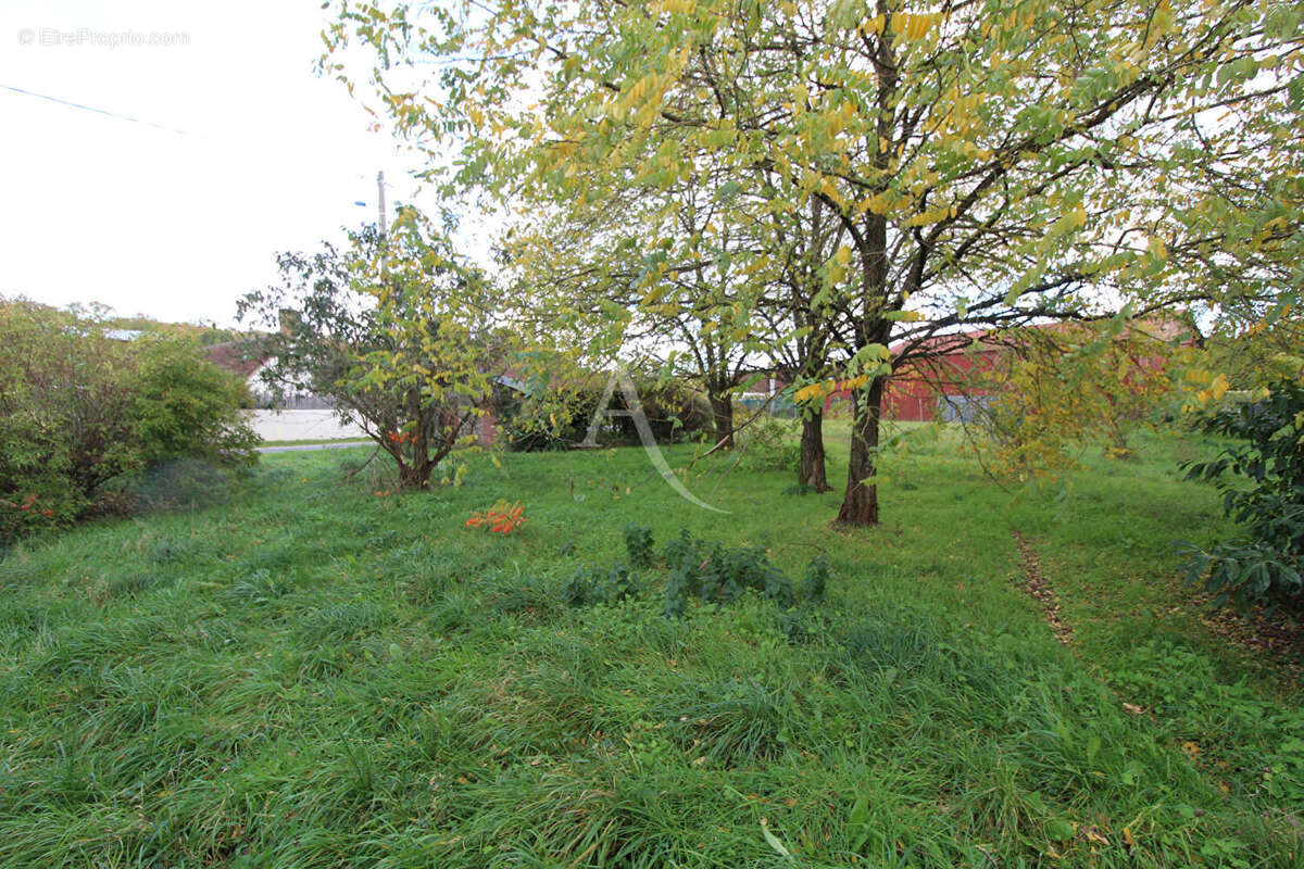 Terrain à MONT-PRES-CHAMBORD