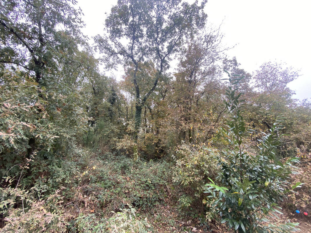 Terrain à SAINT-GILDAS-DES-BOIS