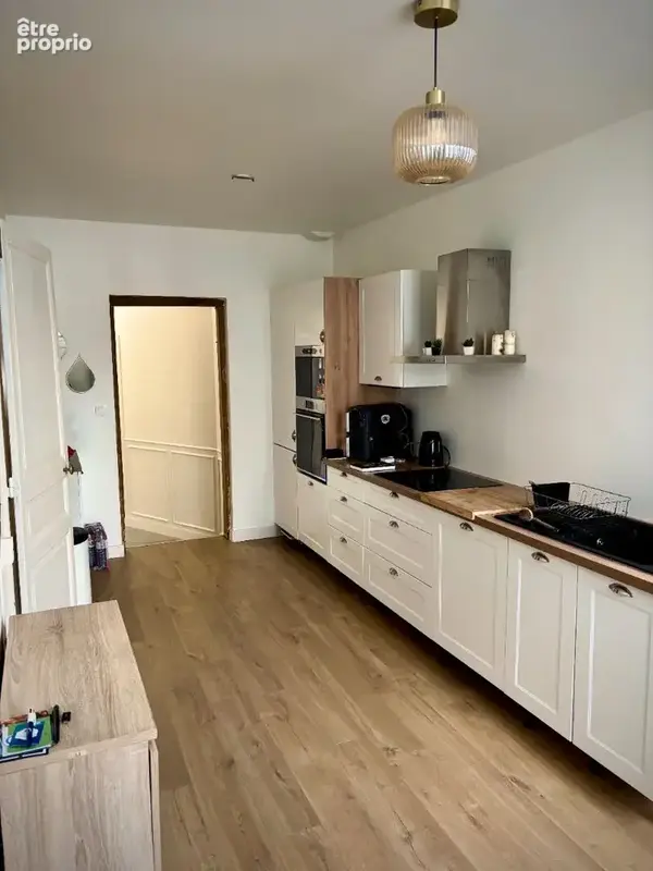 Laval coeur de ville appartement de plein pied, avec cour privative. - photo 4