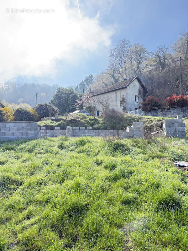 Terrain à VASSELIN