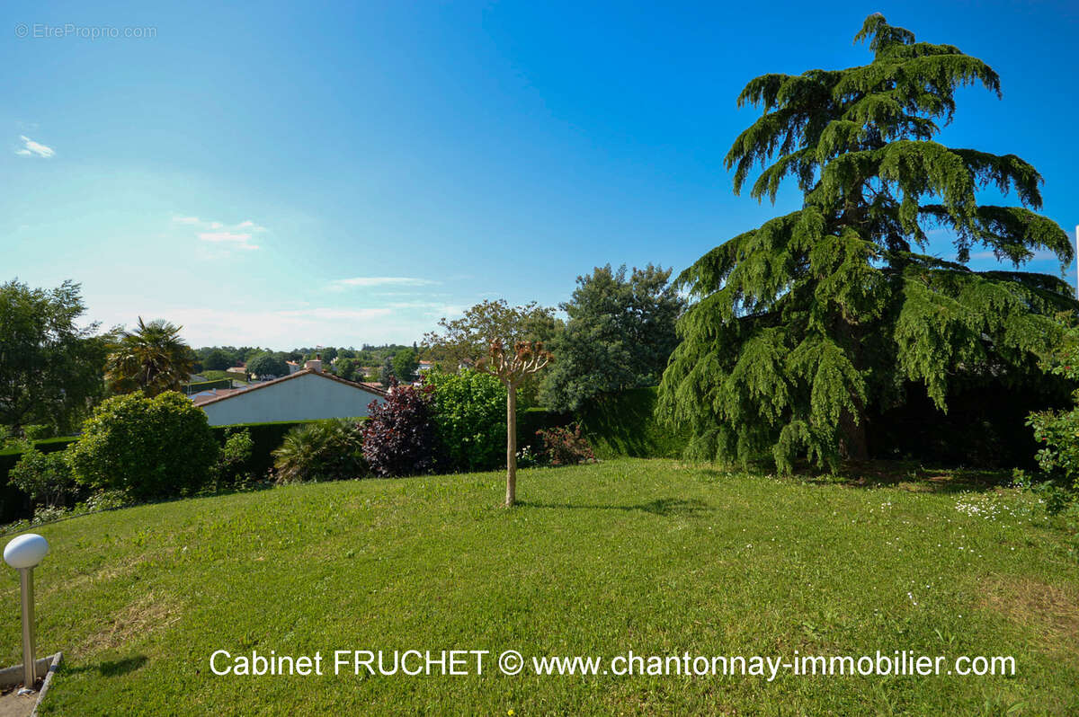Maison à CHANTONNAY