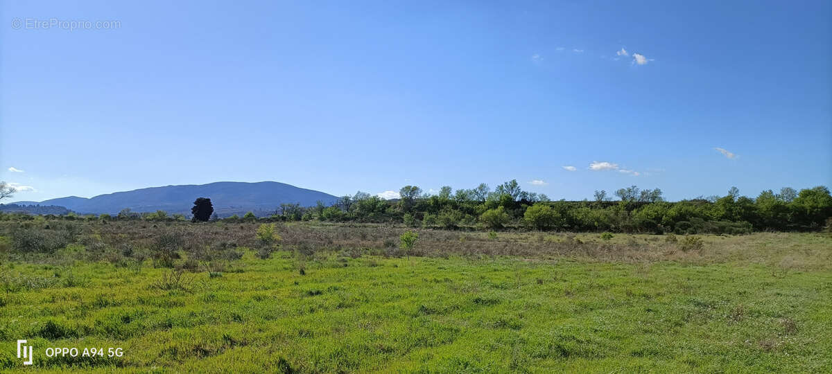 Terrain à FERRALS-LES-CORBIERES