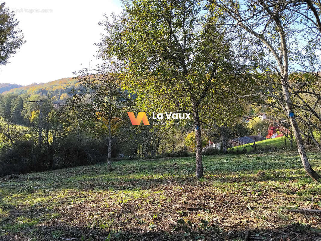 Terrain à VANDELEVILLE