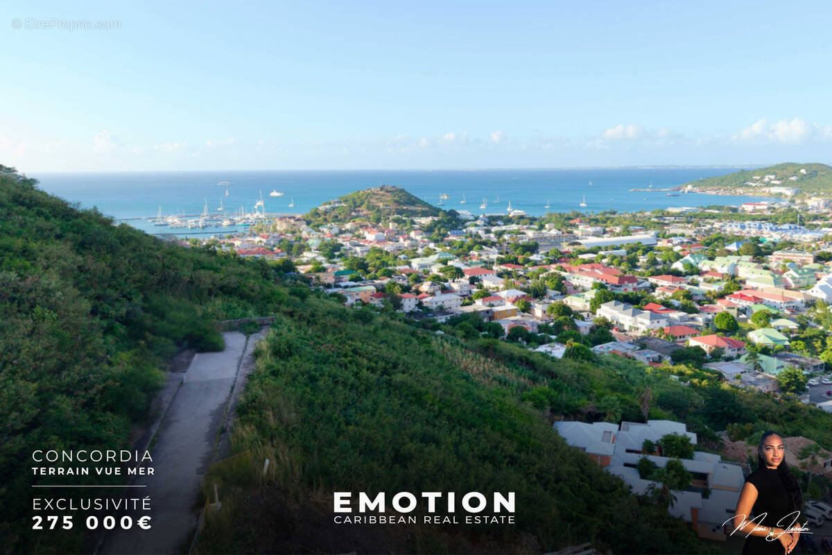 Terrain à SAINT-MARTIN