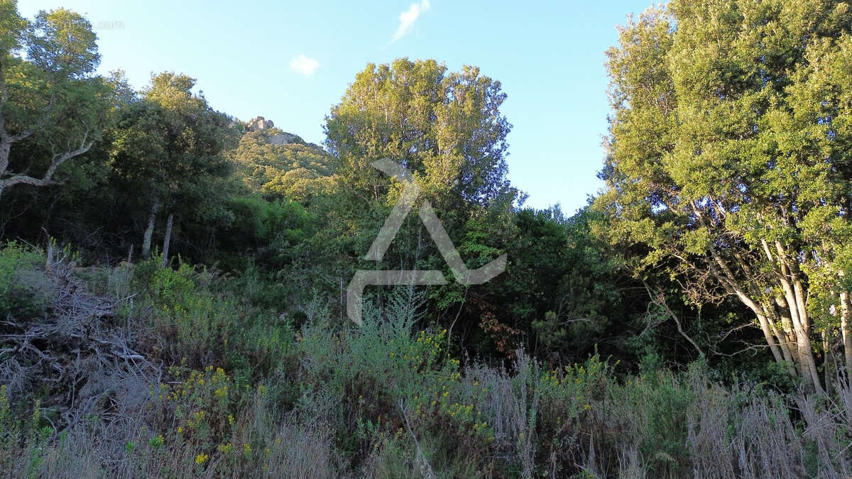 Terrain à FIGARI