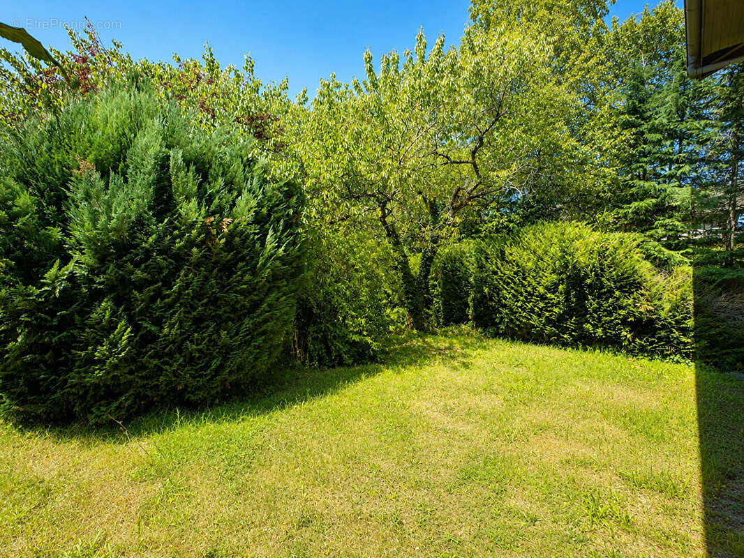 Maison  5 pièces de 101 m2 + sous-sol  à ARCHAMPS - photo 8
