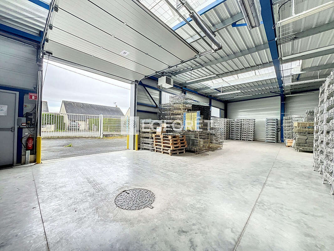 Entrepôt / local industriel Le Puy Notre Dame 4500 m2 - photo 6