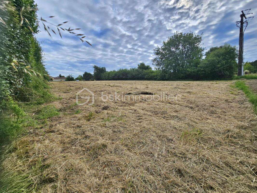  Terrain à bâtir – Aire-sur-l’Adour  - photo 2